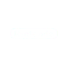 nintendo 1